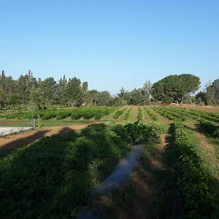 Azienda Agricola I Peperoncini-3